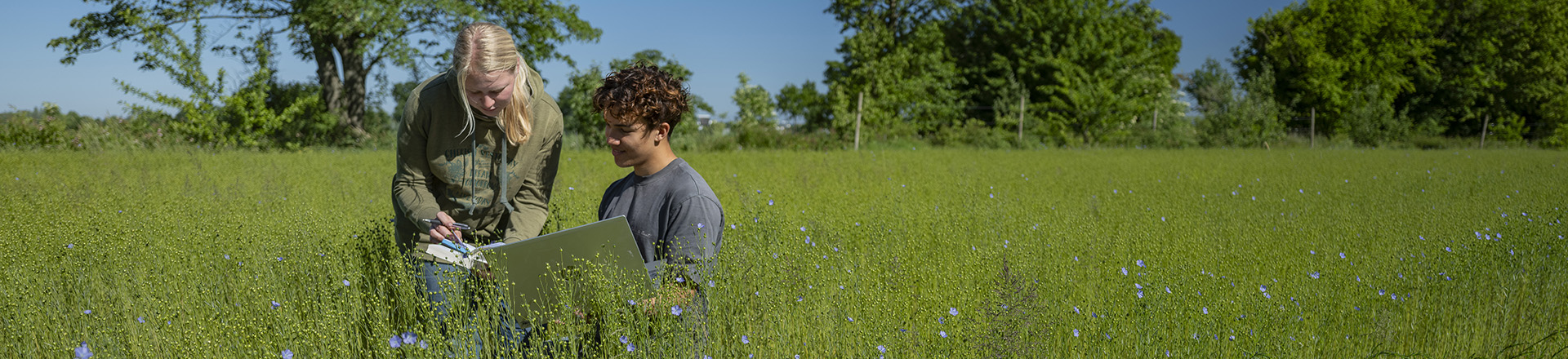 Twee studenten met een laptop en boekje in een grasveld met paarse bloemen.