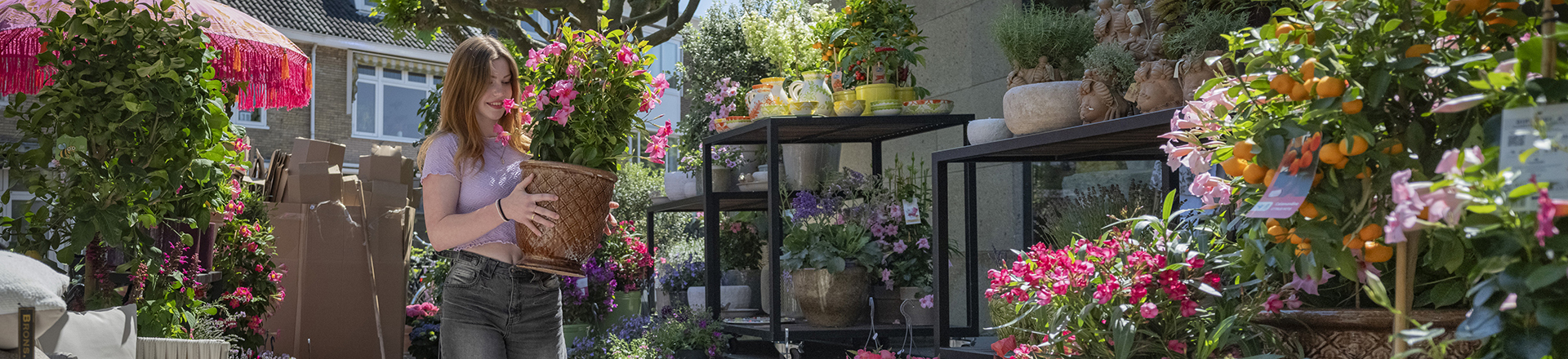 Student bloem en styling in een bloemenwinkel aan het werk met een pot bloemen.