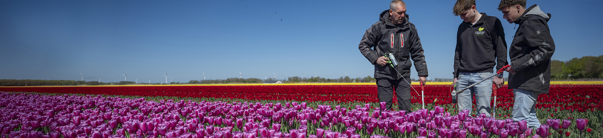 studenten in bloembollenvelp met roze, gele en rode tulpen. Docent legt iets uit.