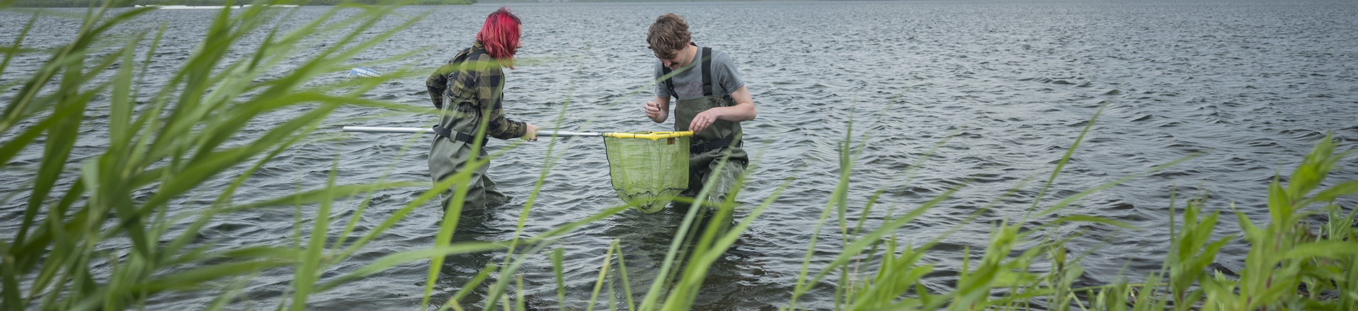 Twee studenten met een schepnet in het water op zoek naar bijzondere planten in het water.