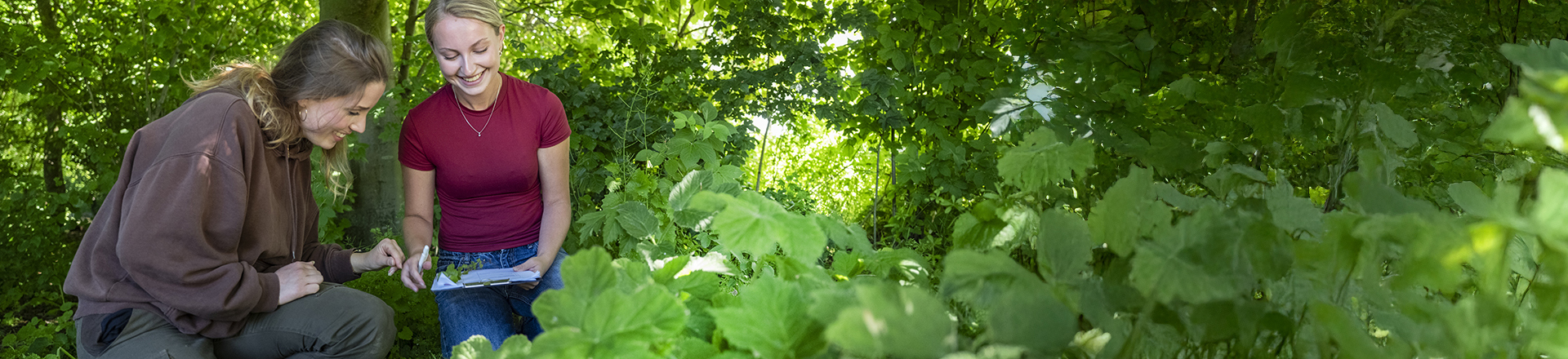studenten bekijken planten in groene omgeving op zoek naar dieren en speciale soorten.