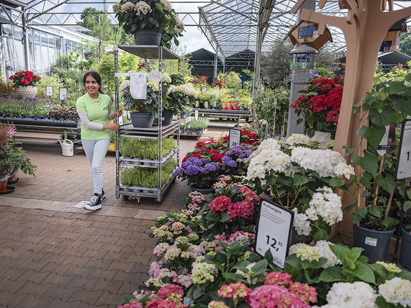 Studenten van Aeres MBO Almere lopen stage in een bloemenzaak