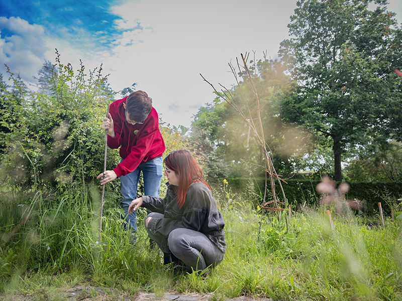 Studenten van Aeres MBO Almere leren over tuinaanleg