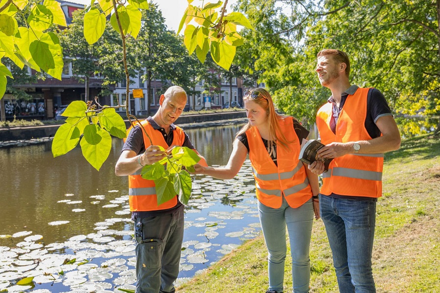 Bomencampus boomblad inspecteren
