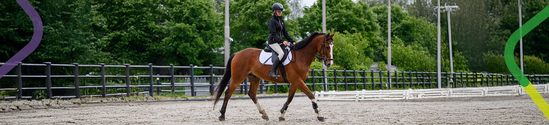 student op paard in de buitenbak bij Aeres Hippisch centrum in Kootwijkerbroek.