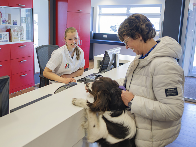 Student van Aeres MBO Barneveld werkt achter balie dierenarts