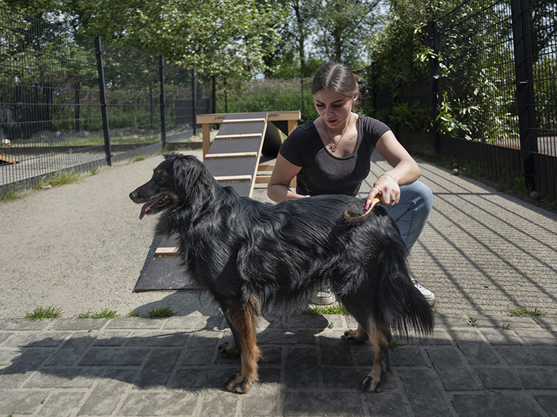 Student van Aeres MBO Buitenpost leert over dierverzorging