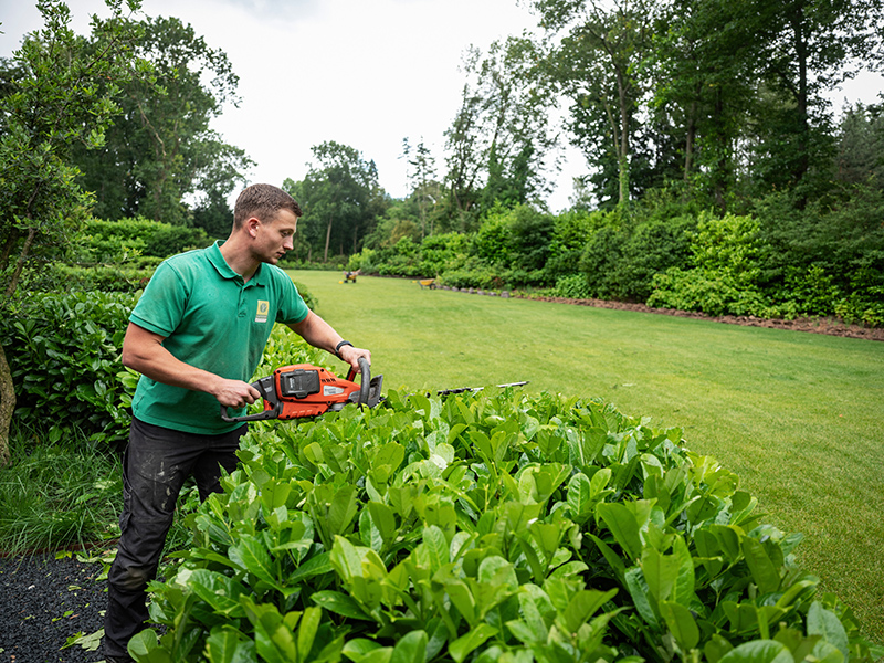 Student van Aeres MBO Buitenpost leert over tuinaanleg