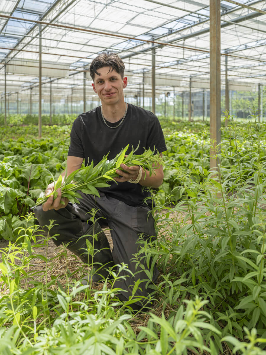 aaron weber aan het woord