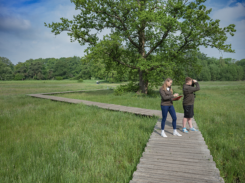 Studenten Aeres MBO Ede lopen over vlonderpad Renkums Beekdal