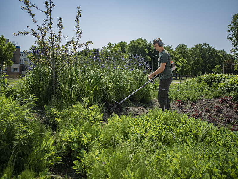 Student Aeres MBO Emmeloord leert over tuinonderhoud