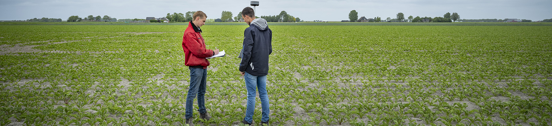 twee studenten in een akker met kleine groene plantjes. Ze zijn in de weer met een landmeter.
