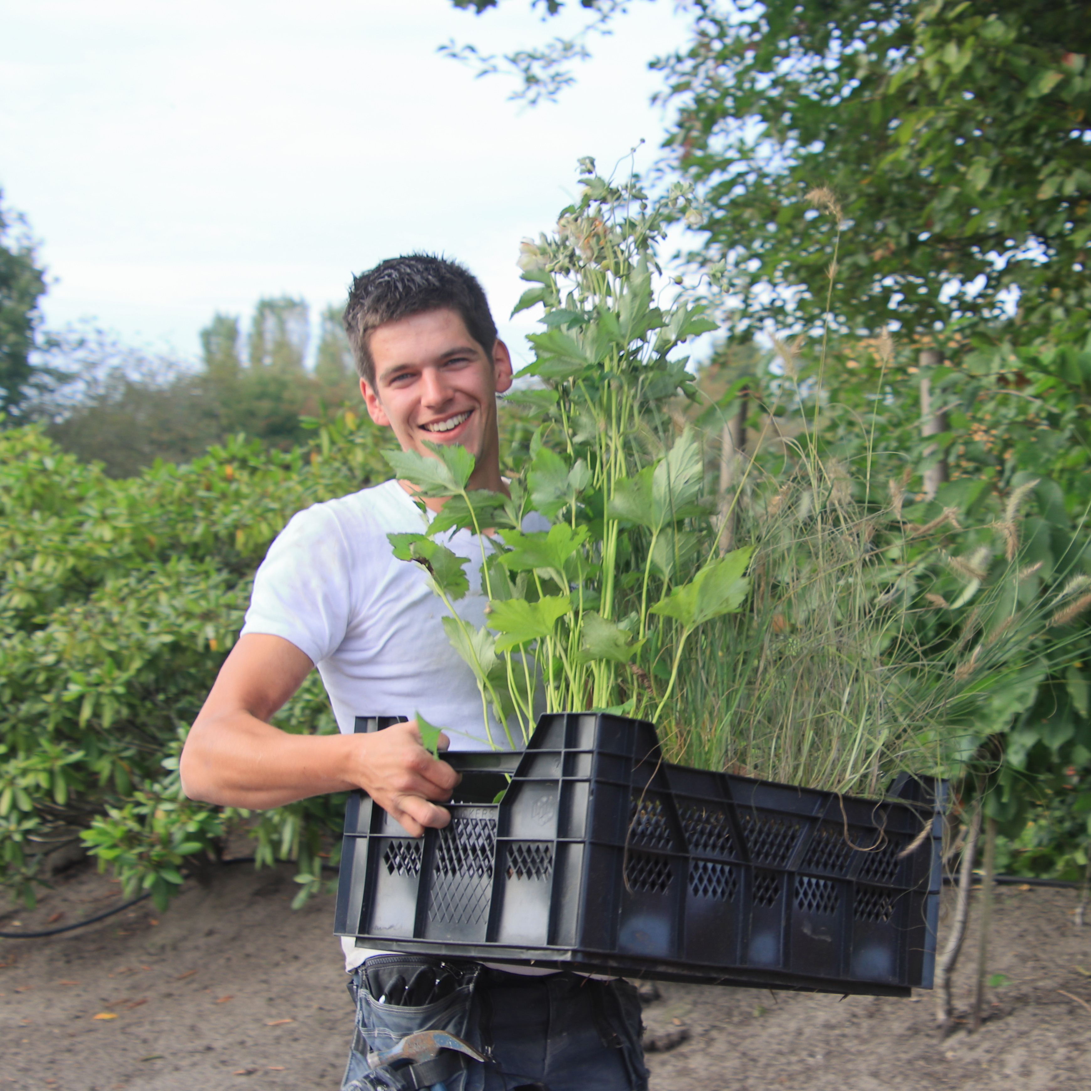 Student van Aeres MBO Nijkerk tilt een krat met planten voor in de tuin