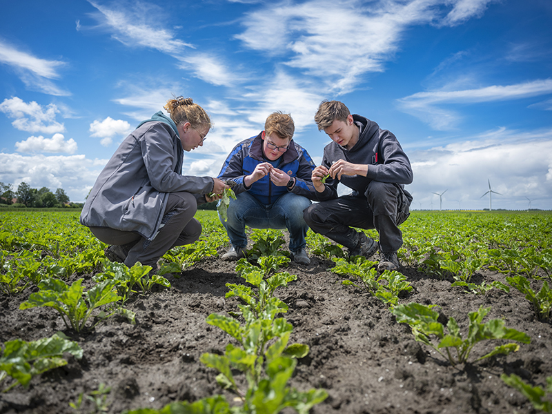 Studenten Aeres MBO Sneek inspecteren gewassen op een akker