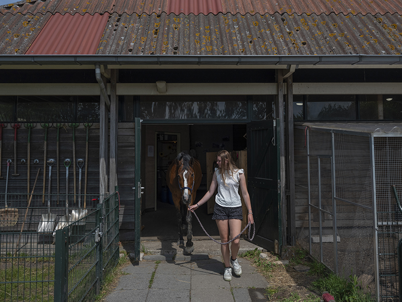 Student Aeres MBO Sneek loopt met paard uit stal