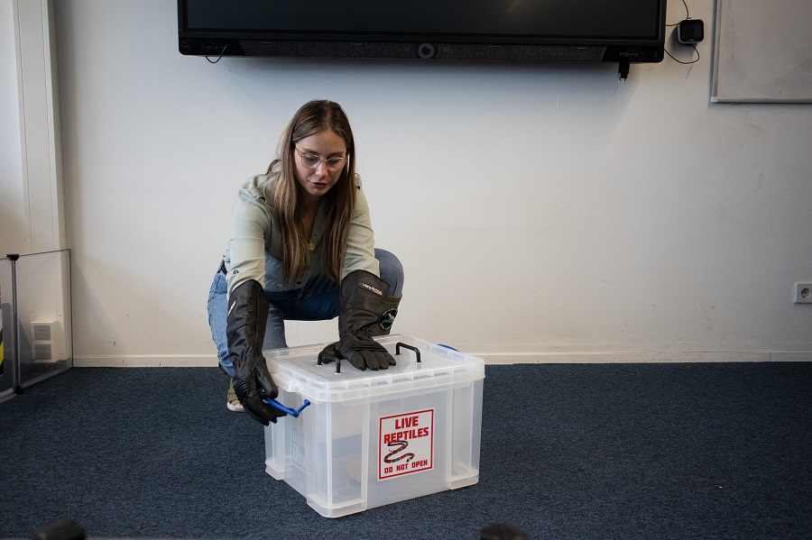 Studenten Dierverzorging op excursie reptielen vervoeren