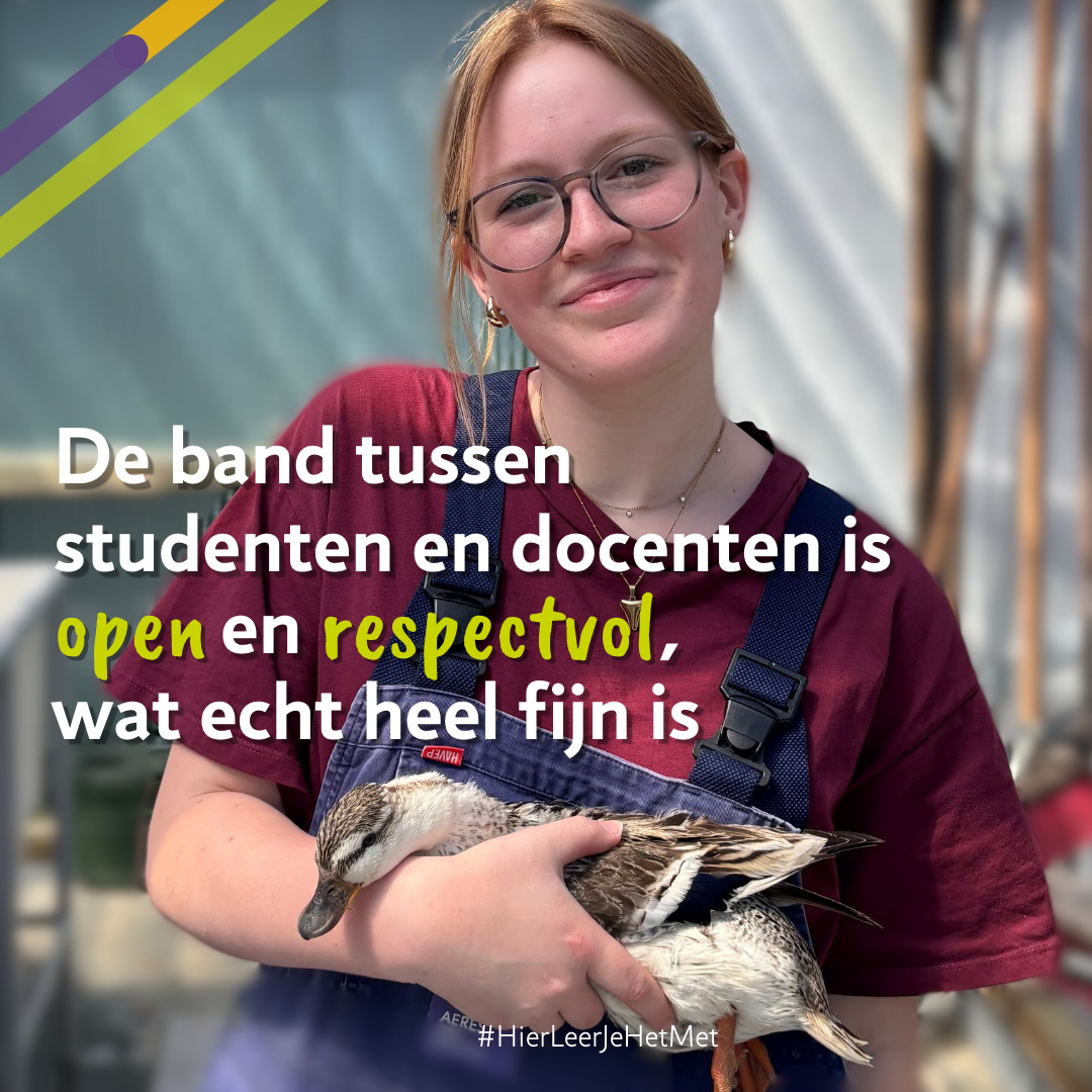 naomi bos diermanagement