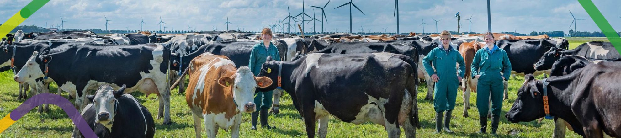 toekomstgerichte melkveehouderij
