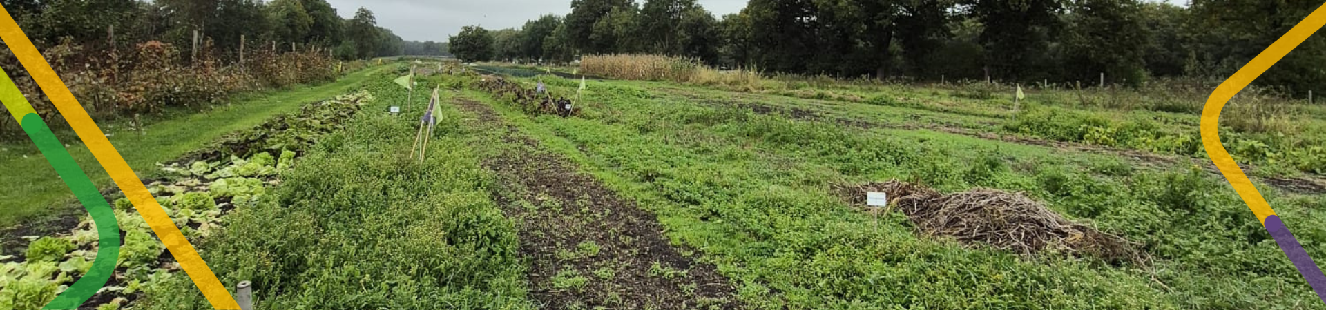 Header Studenten maken het verschil tijdens de Week van de Regio