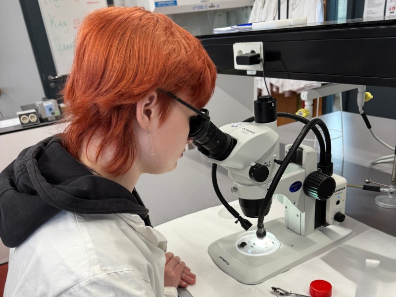 Meisje in laboratorium