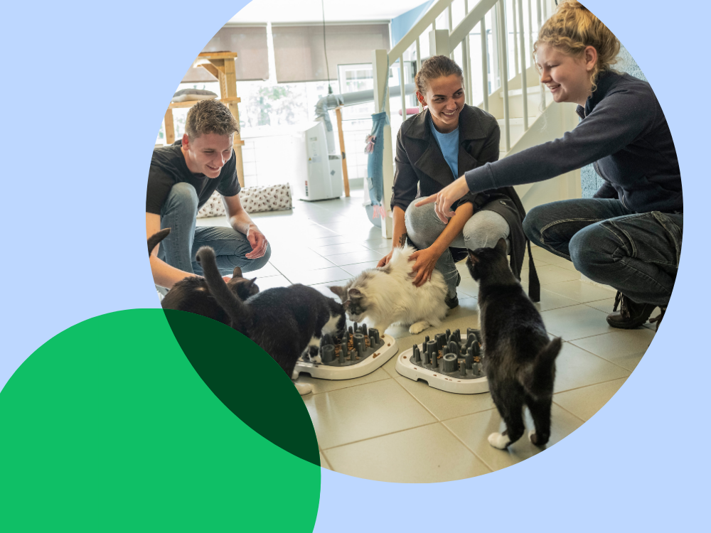 studenten met katten
