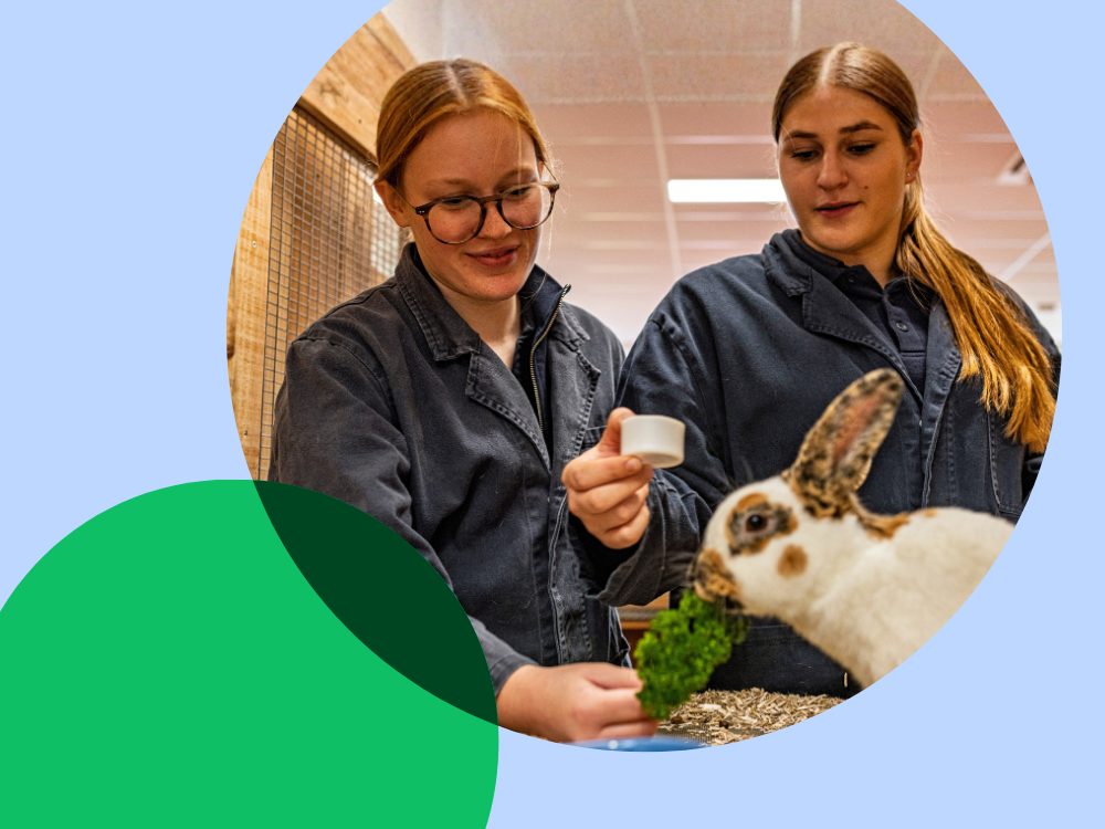 twee meisjes met een konijn
