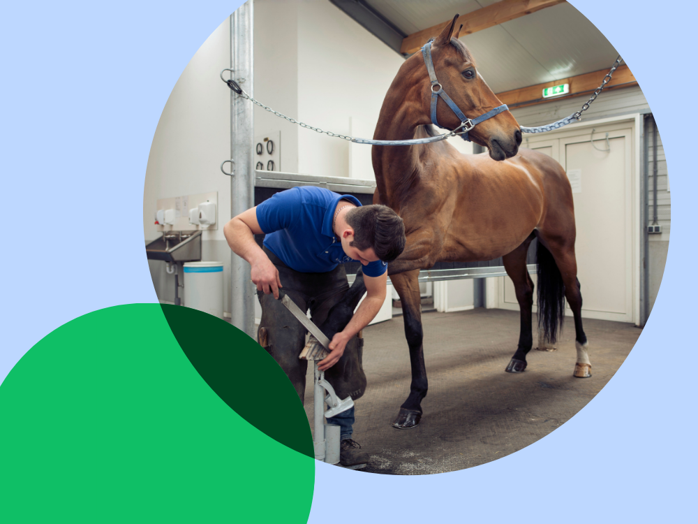 student met paard