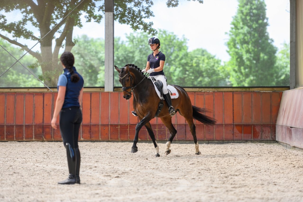 Meisje rijdt paard in paardenbak.