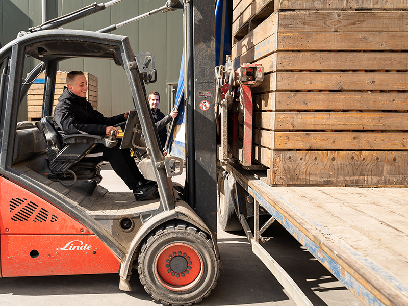 Verkoop en logistiek