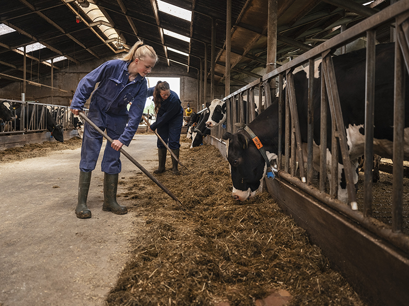 Veehouderij