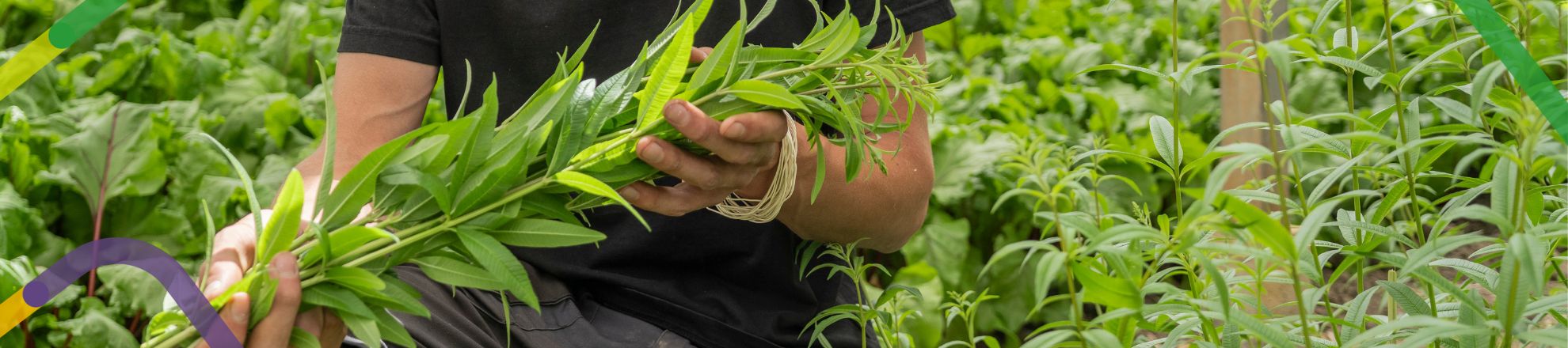 aaron leber aan het woord