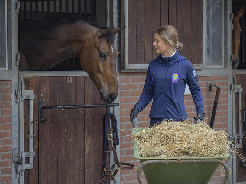 Student verzorgt de paarden tijdens mbo-paardenopleiding bij Aeres MBO