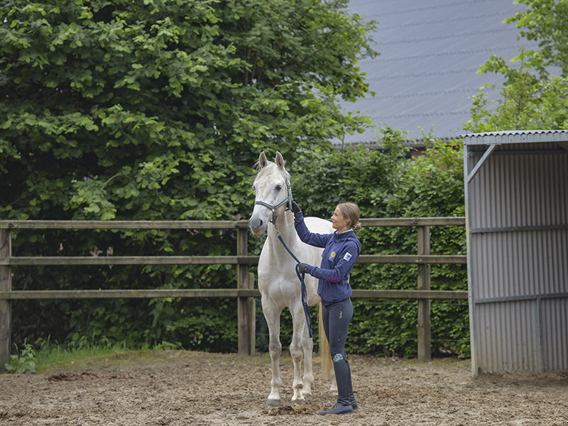 Student met paard tijdens paardenopleiding bij Aeres MBO